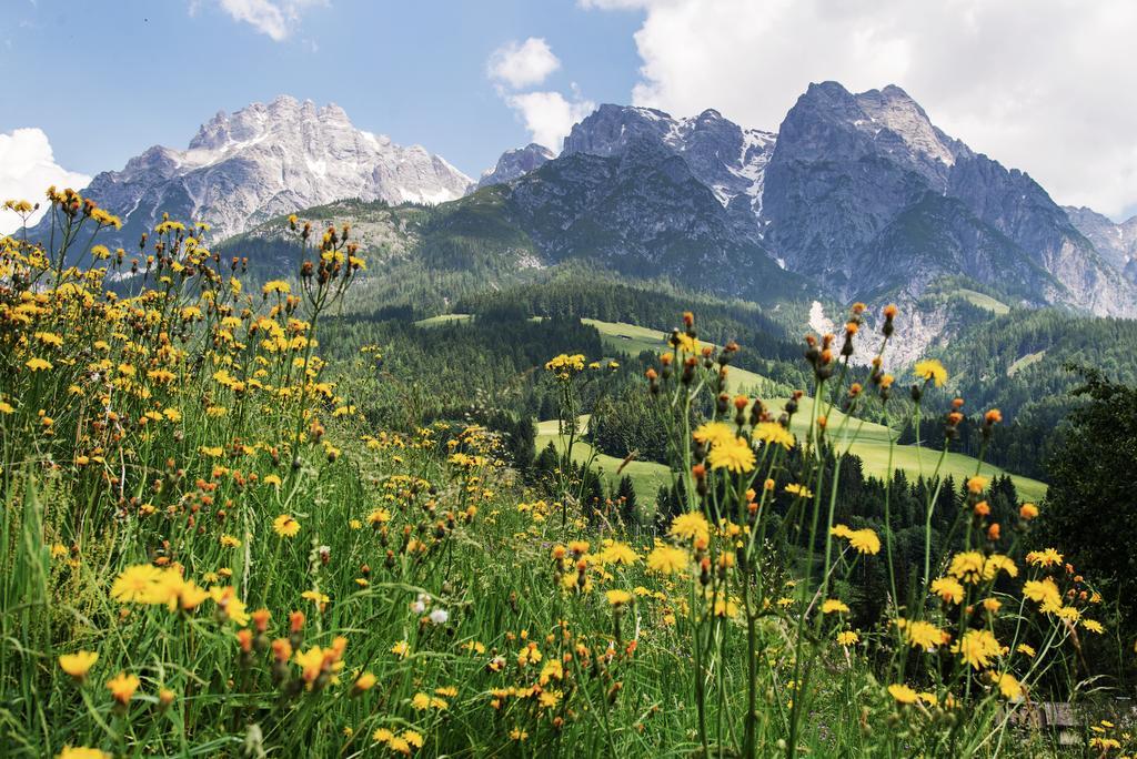Appartementhaus Salzmann Леоганг Экстерьер фото